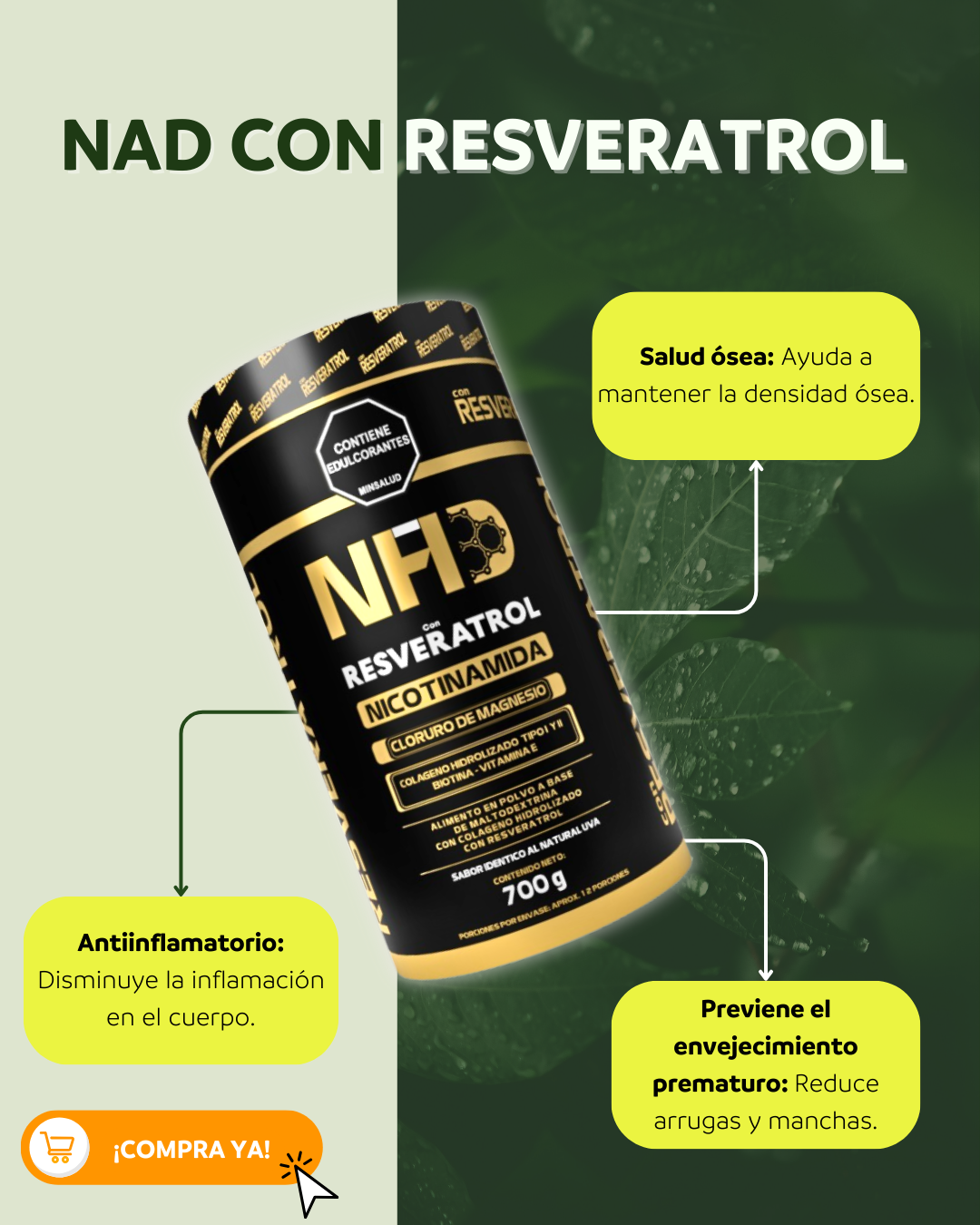 Nad + Resveratrol x 700g