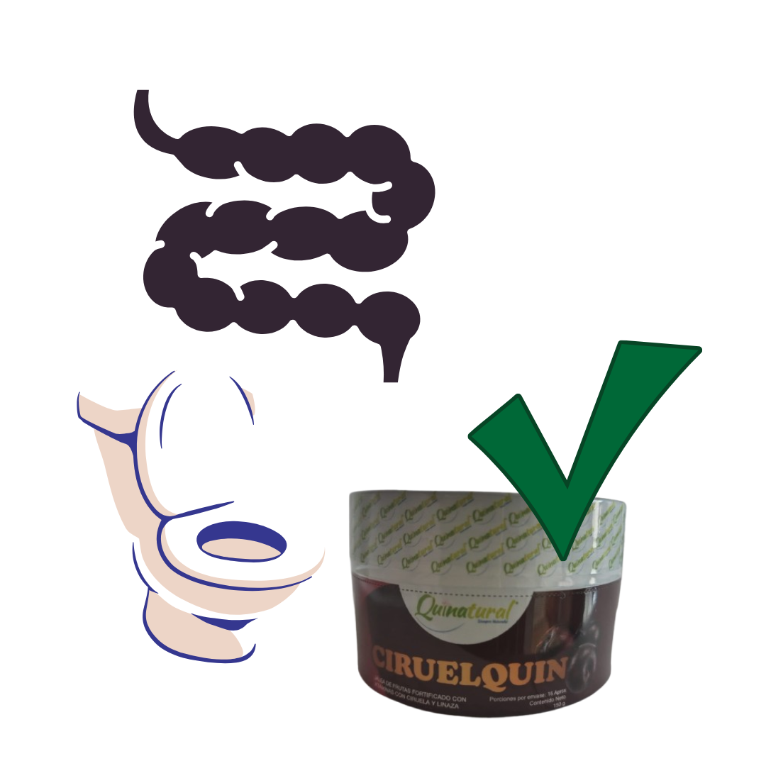 CIRUELQUIN Jalea ciruela y linaza